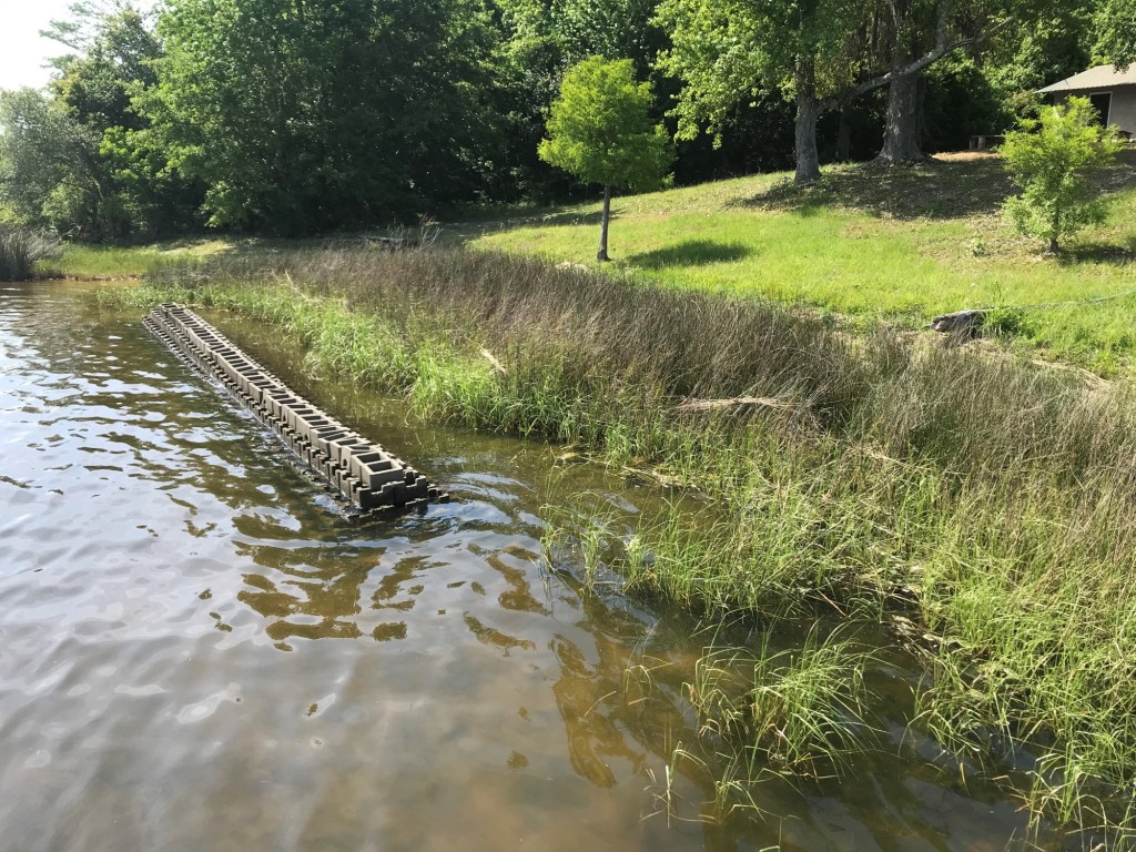 A living shoreline, with native plans and a concrete breakwater, built by the Mississippi-Alabama Sea Grant Consortium at Camp Wilkes, Mississippi. 
