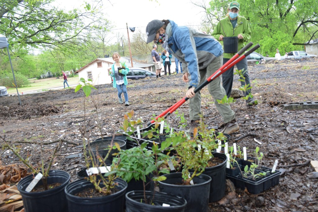 Volunteers carry pots of native plants to the park.