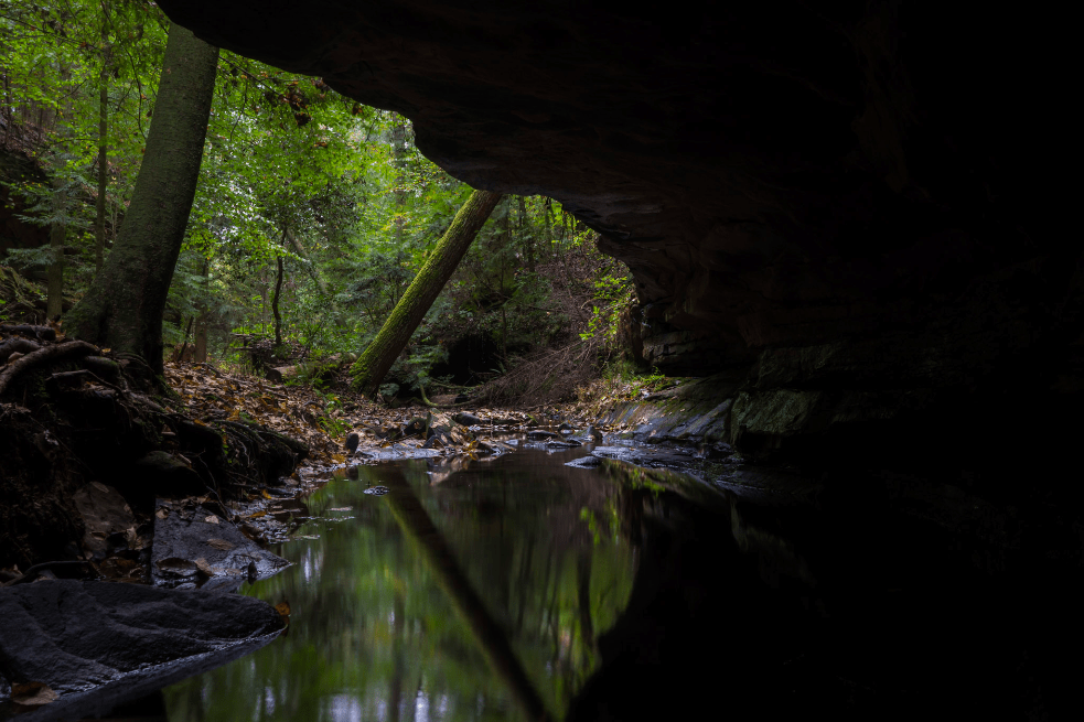A creek flows under the overhang of a sandstone canyon, surrounded by forest. A fallen hemlock tree hangs over the creek.