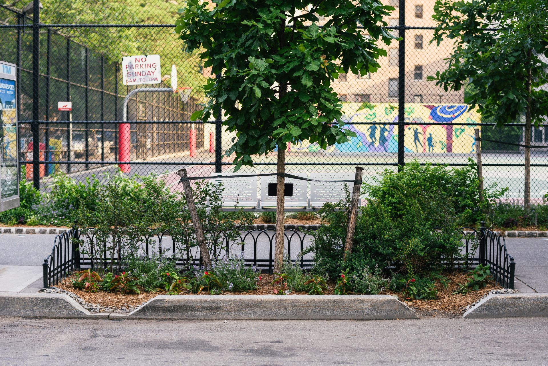 A bioswale between a road and parking lot in Birmingham.