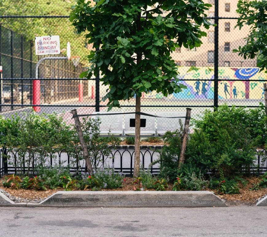 A bioswale between a road and parking lot in Birmingham.