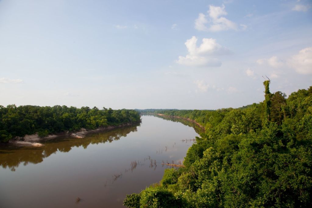 A wide shot of the Alabama River, showing a calmly flowing river, with dense trees on either side. The Claiborne Dam is not visible in this image.