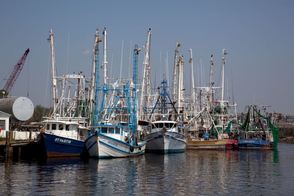A row of fishing boats in a harbor.
