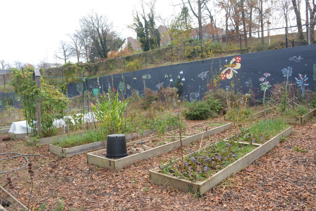 About 10 to 12 raised garden beds are visible, with some growing produce and wildflowers, while others are dormant for the winter. Behind the garden beds, a black retaining wall has a mural of pollinating creatures and flowers.