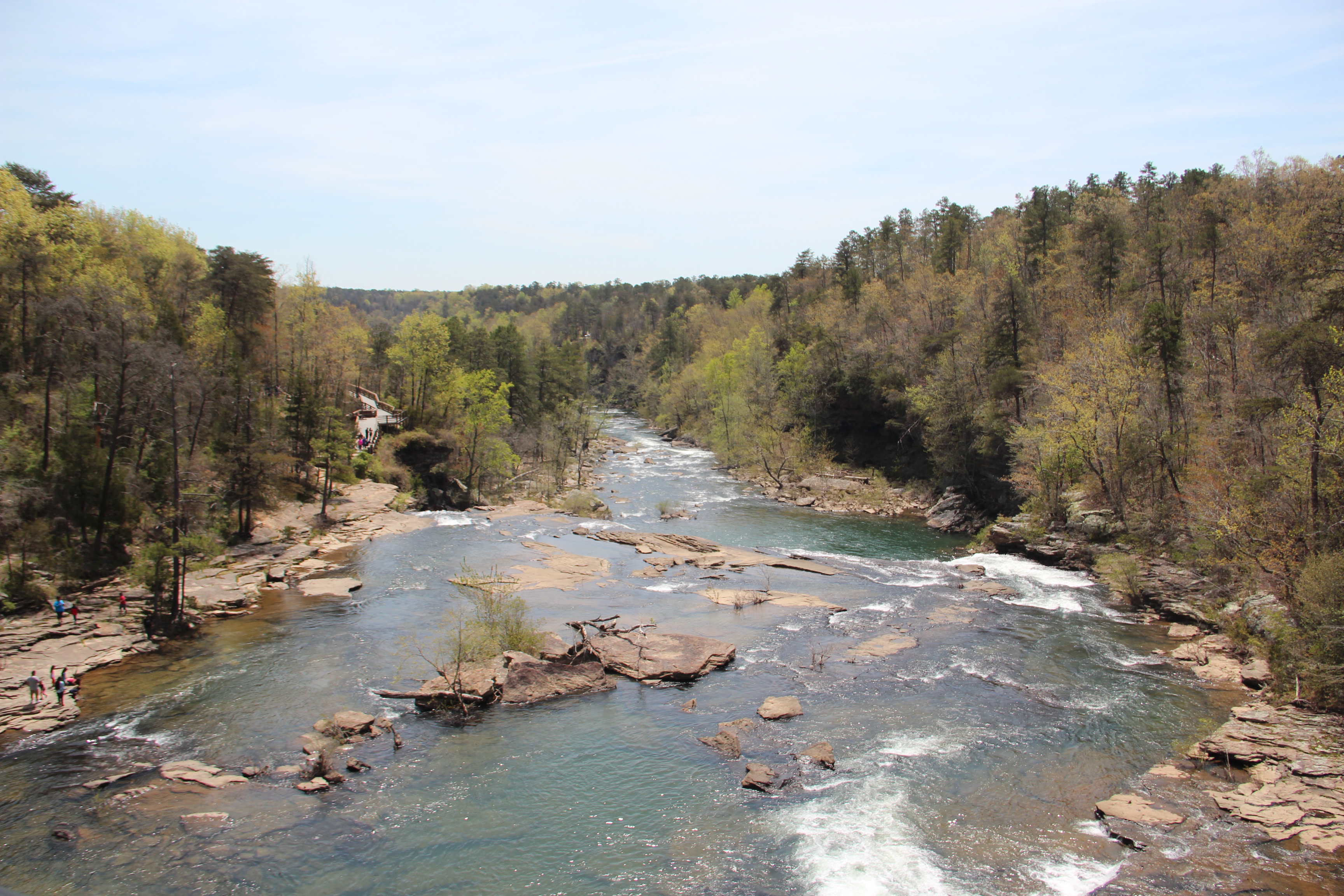 An overhead shot of Little River. The water is shallow, and many rocks and small rapids can be seen in the river. Dense forests are on either side.