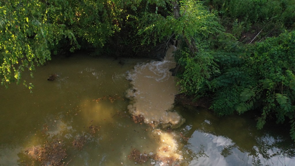 Photo shot from someone standing in the middle of a stream, with the bank visible on the upper edge of the image. In the center, a stream of brown runoff flows from the bank into the waterway, where it is clearly much browner due to sediments.