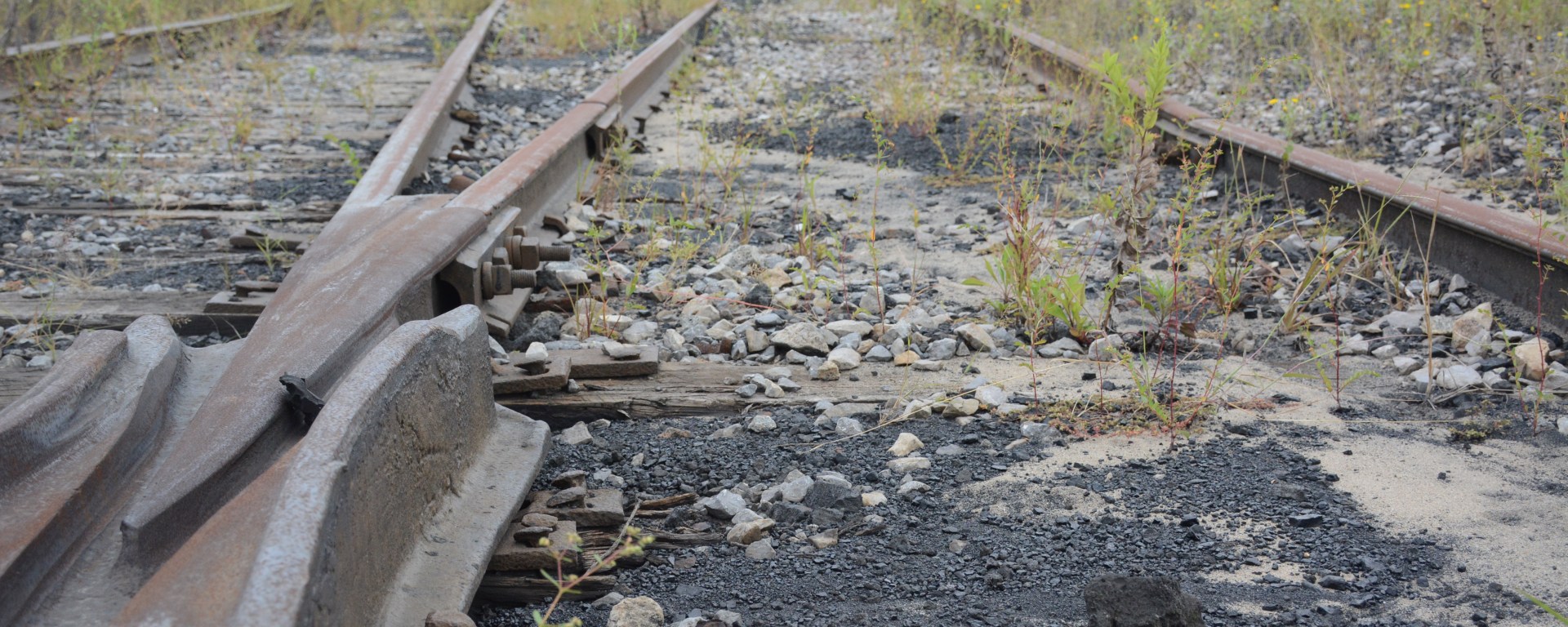 Abandoned railroad tracks, with rotted ties and weeds growing, lead to a pile of black waste from the neighboring coke plant.