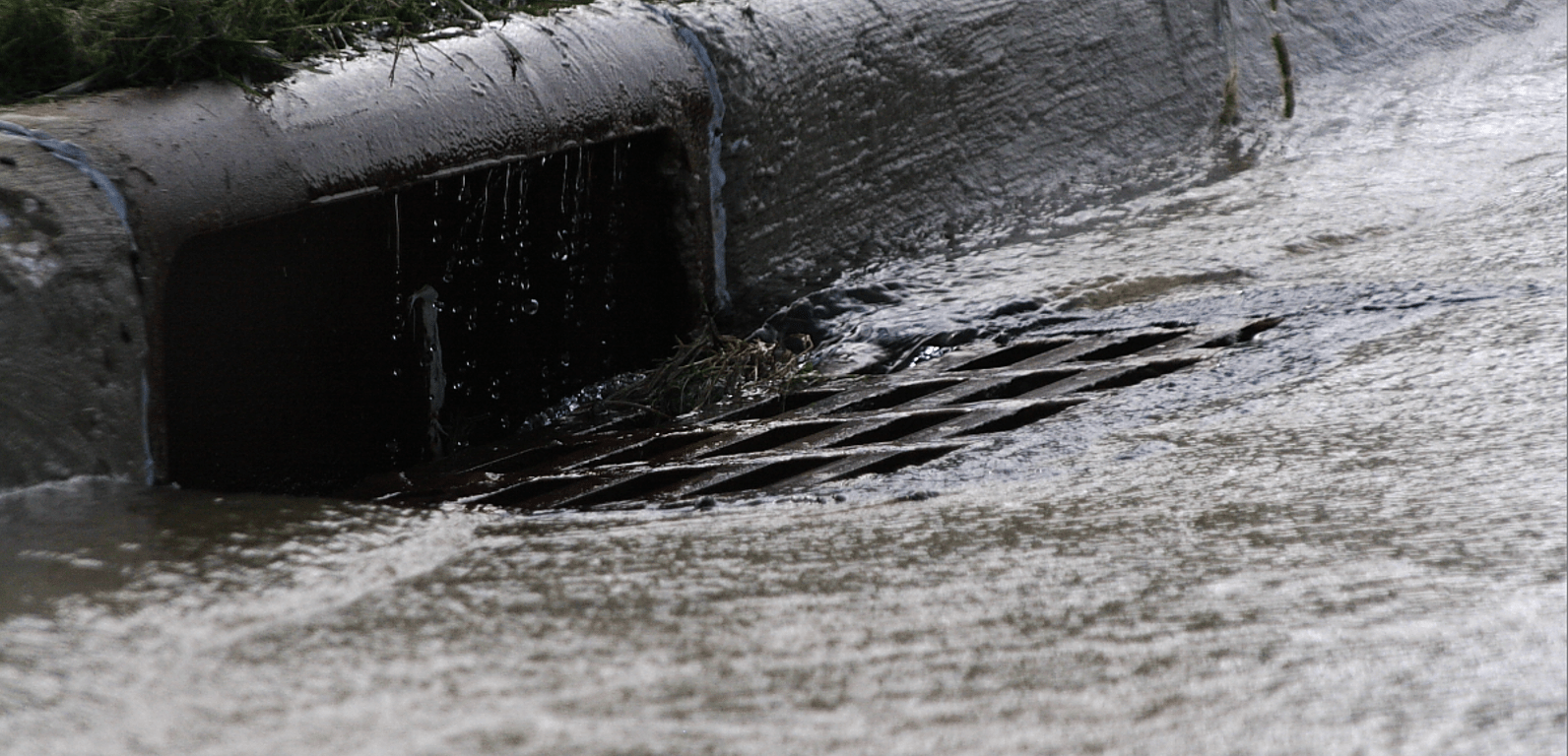 Water flows into a storm drain on the left side of the image. The drain is set in the curb of a street, and some grass is visible above the drain.