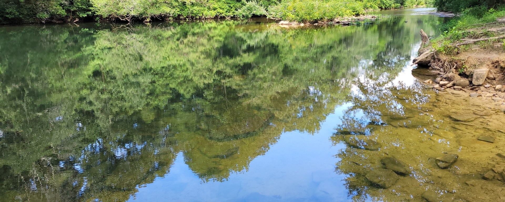 The shoreline of Little River. There is no wind or visible current, so the trees on the far shore are reflected nearly perfectly.