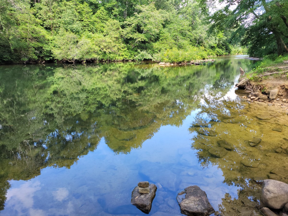 When ‘forever’ is everywhere