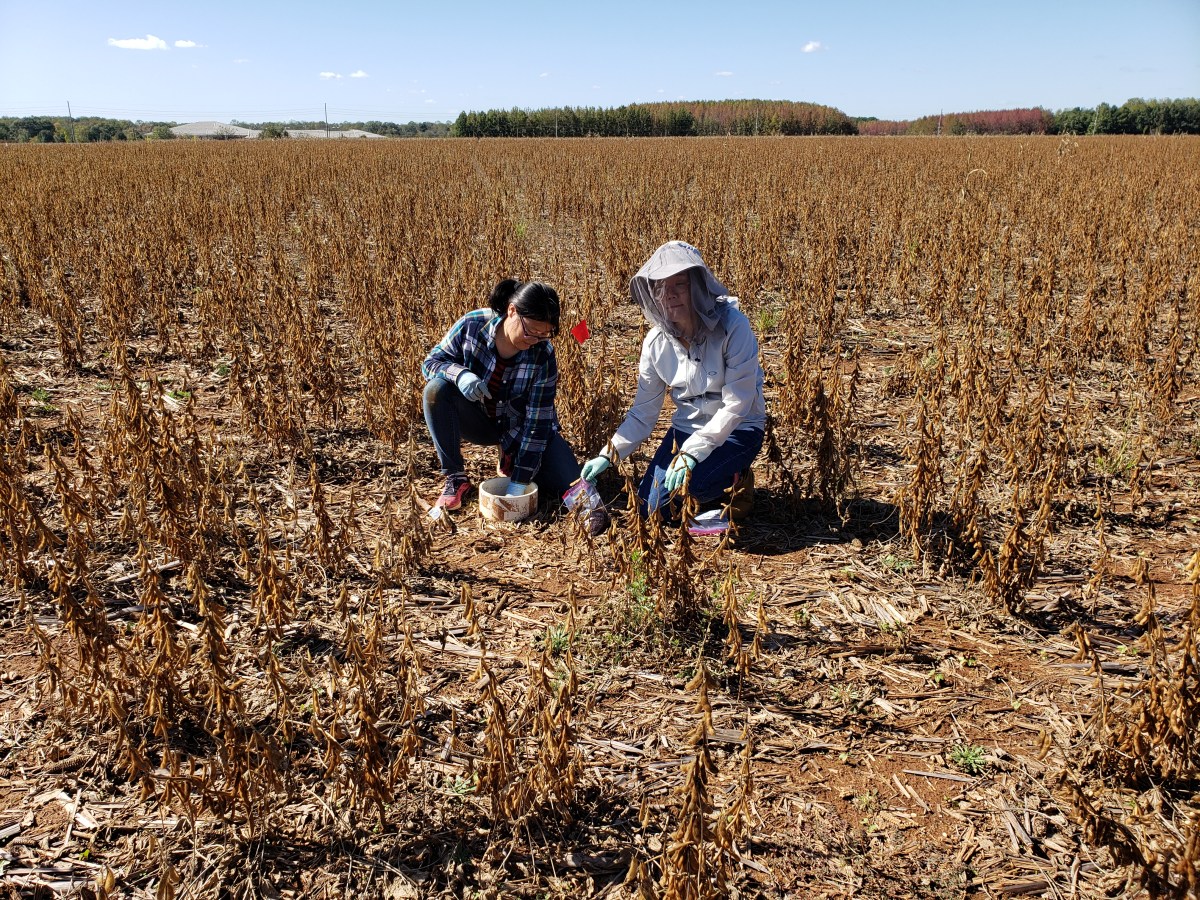 Climate-centered thinking