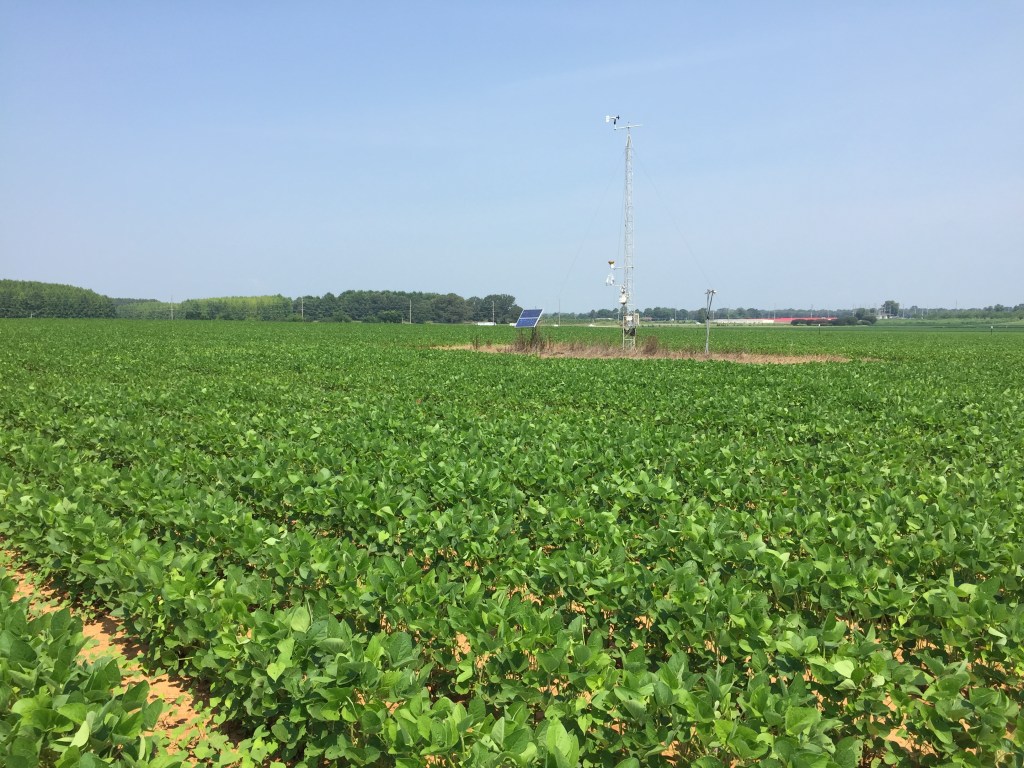 Green row crops surround an antenna with various measuring equipment and a small solar panel.