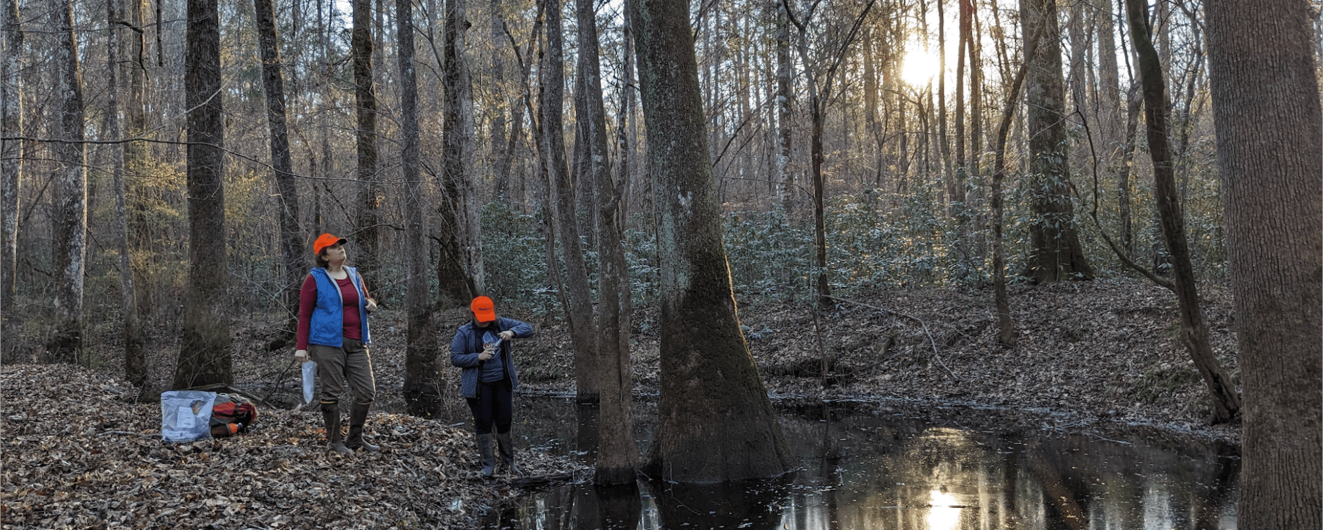 Two people in waders and high-visibility clothes stand on the bank of a large puddle in the middle of a forest. The sun is low on the horizon behind the hills.
