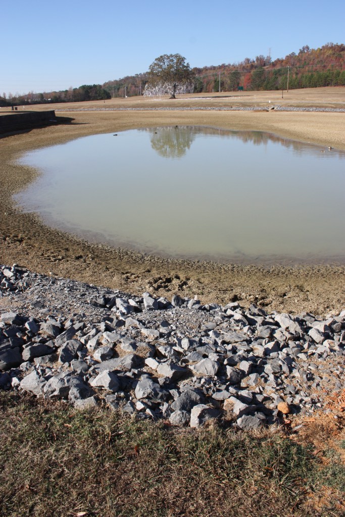 A shallow pond of dirty brown water is surrounded by the dried out dirt and rocks that used to be below the water level. Dead grass is visible in the background behind the normal boundaries of the pond.