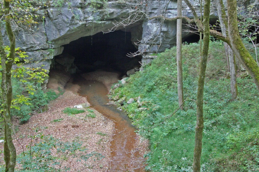 A narrow, shallow stream flows over a gravel bed into a cave entrance that overhangs the bed. There are trees and greenery on either side of the stream.