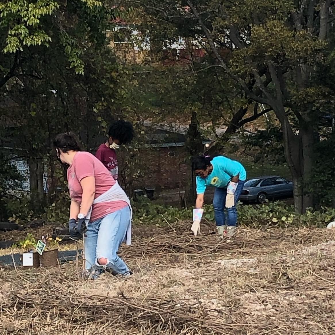 Three people wearing masks and gloves clear brush on a hillside. Small nursery plants are ready nearby to be planted.