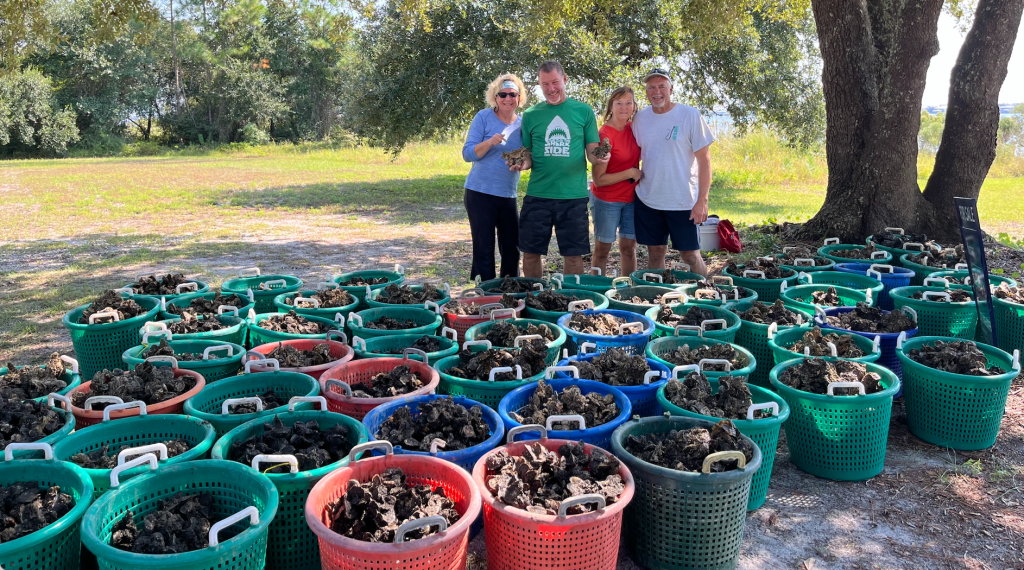 Two couples stand behind around 50 buckets full of collected oysters.