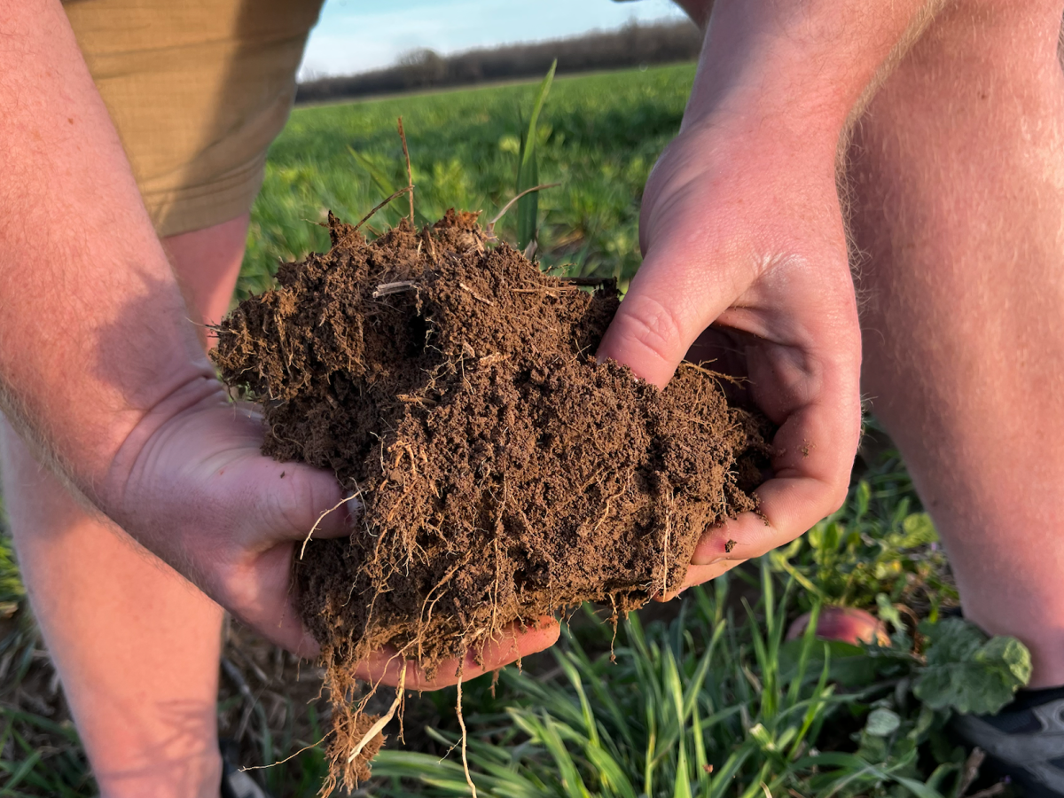 A new farming (re)generation