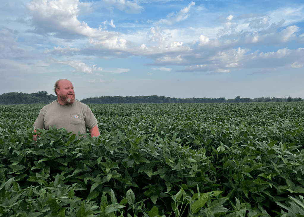 A balding man with a beard, roughly in his 40s, stands in a field of chest-high plants on a sunny day. He's standing on the left side of the photo and looking right.